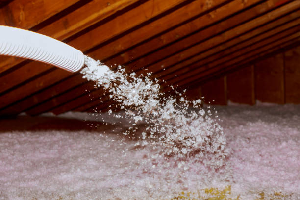 Best Cellulose Insulation  in Winchester, CA