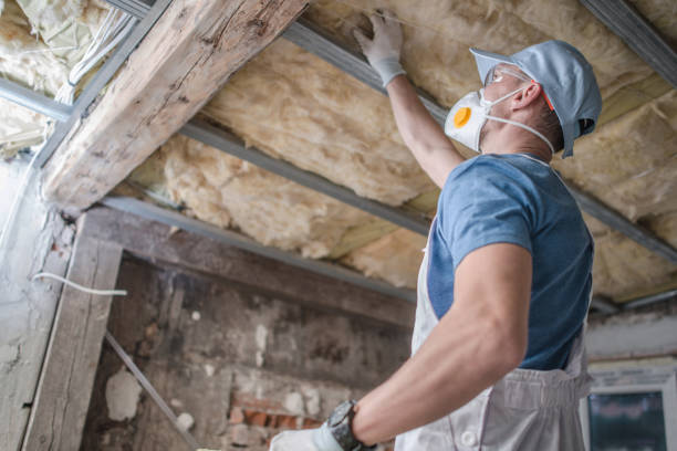 Best Home Insulation Services  in Winchester, CA